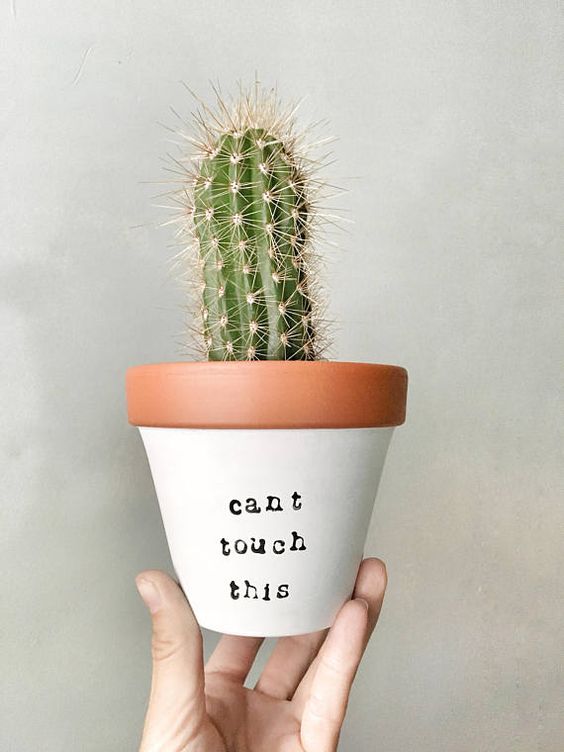 regalos para una amiga